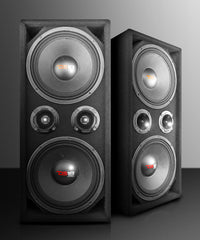 Dual 10" Loaded Ported Voceteo box ( 2 x PRO-X10M and 2 x PRO-TWX2) - DS18