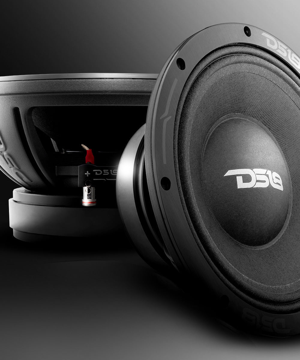 PRO-ZXI 10" Mid-Bass Loudspeaker With Neodymium/Ferrite Magnets 500 Watts Rms 8-Ohm - DS18
