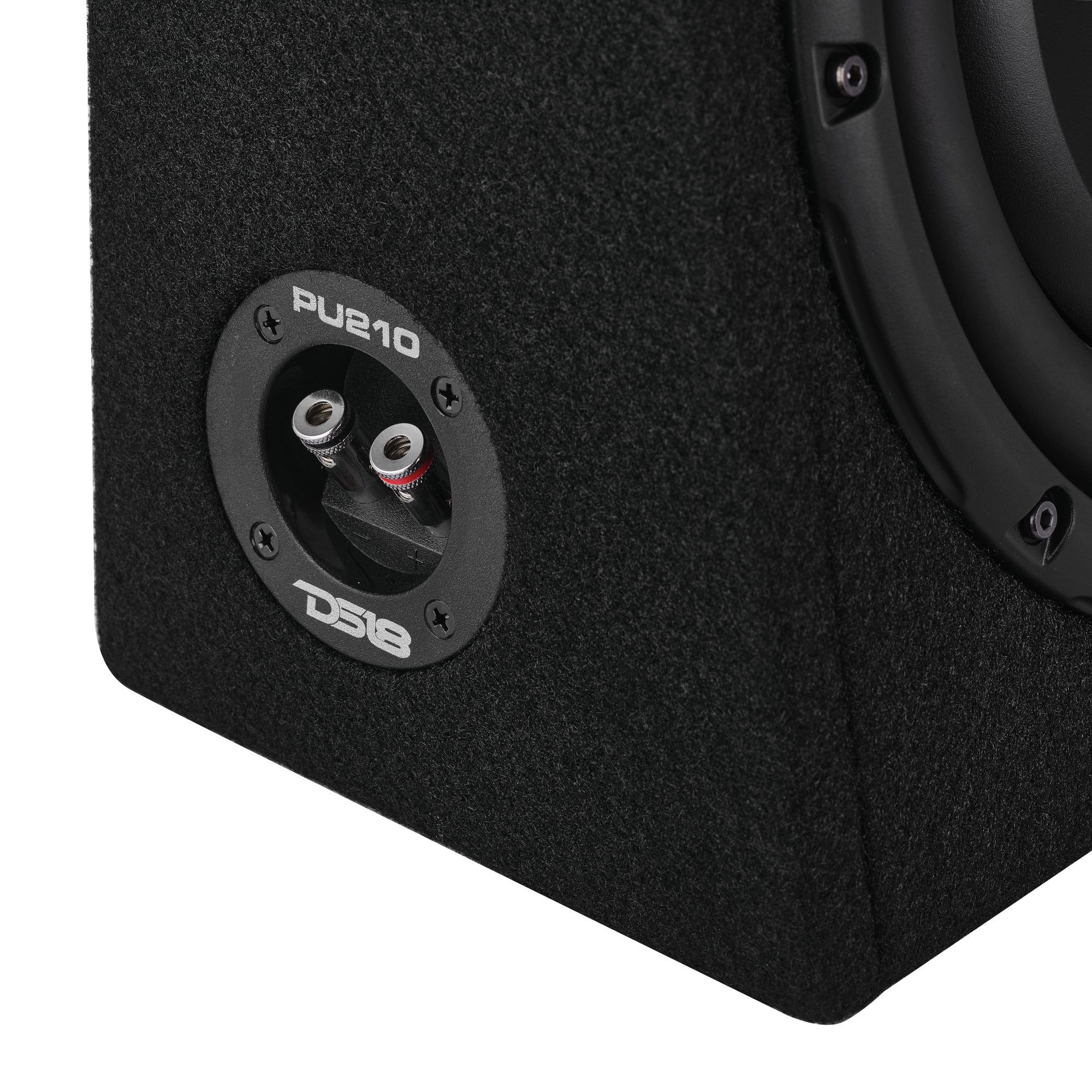 Loaded 10” Subwoofer + Passive Radiator Enclosure for Pickup Trucks - DS18