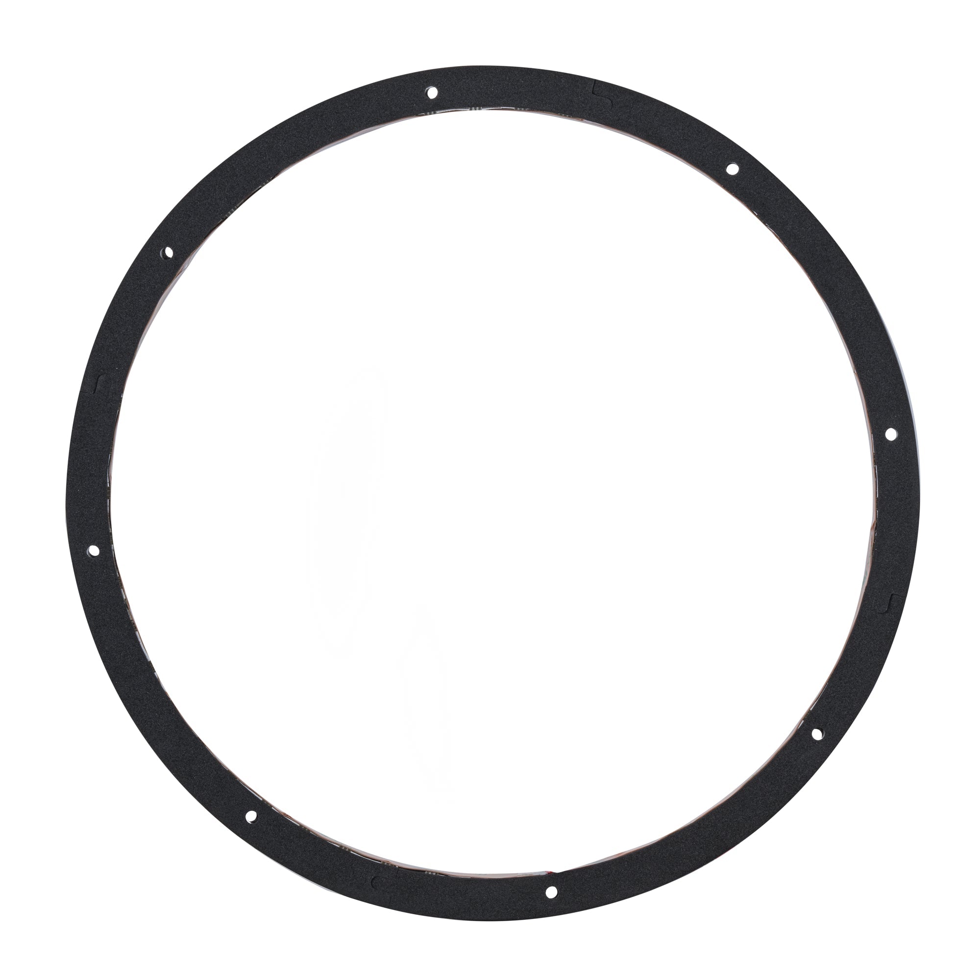 12" Digital LED Ring for Speakers and Subwoofers - DS18