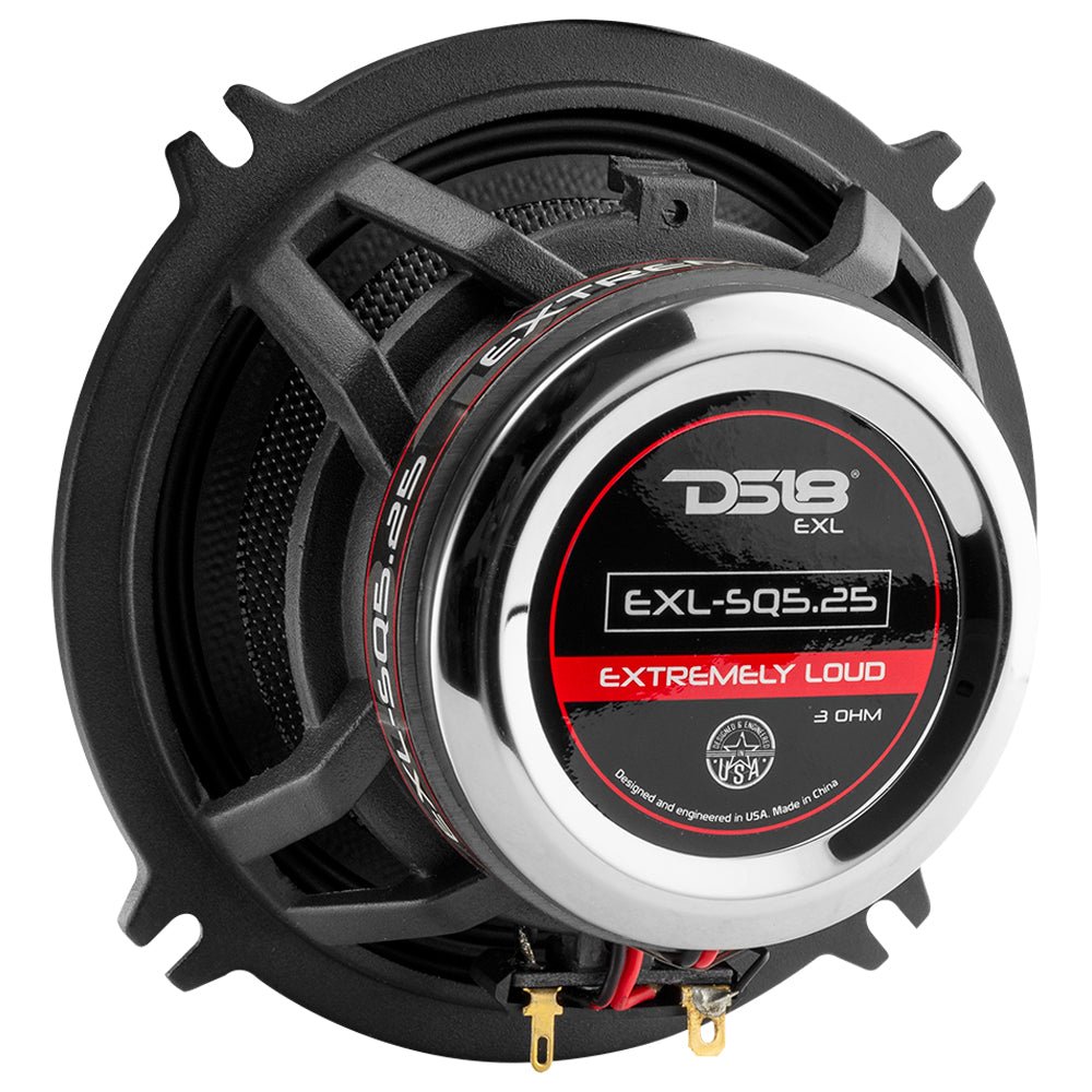 EXL 5.25" 2-Way Coaxial Speaker with Fiber Glass Cone | 80W RMS 3-Ohm - DS18