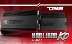 HOOLIGAN KO 1-Channel Amplifier with Voltmeter 5000 Watts Rms @ 1-Ohm Made In Korea - DS18