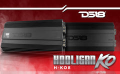HOOLIGAN KO 1-Channel Amplifier with Voltmeter 8000 Watts Rms @ 1-Ohm Made In Korea - DS18