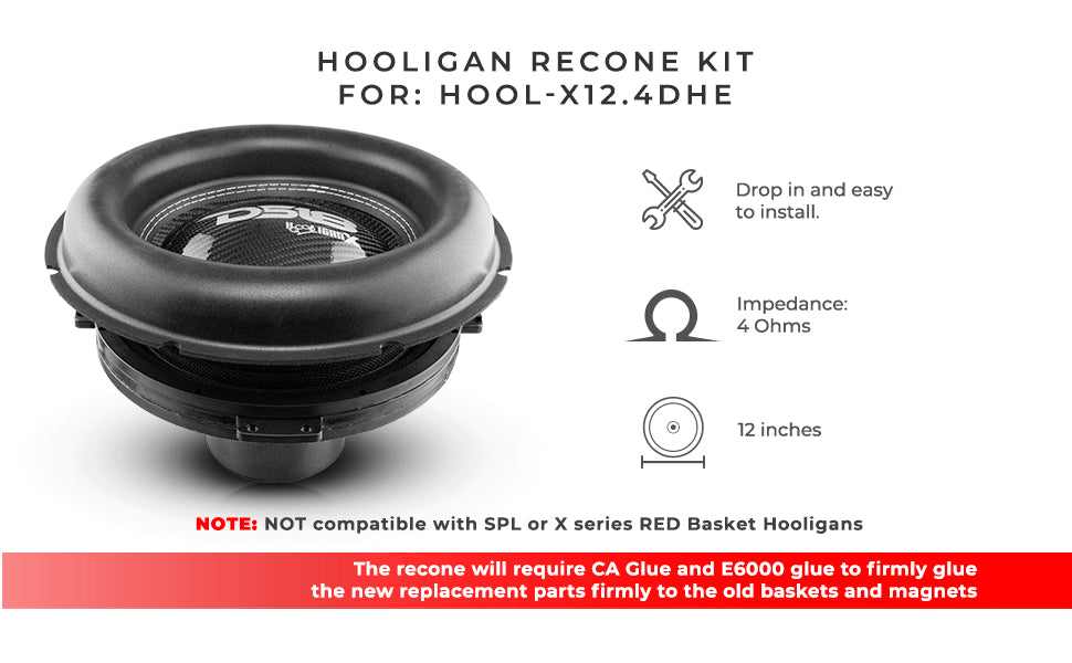 HOOLIGAN Recone Kit for HOOL-X12.4DHE - DS18