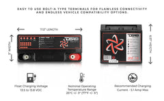 INFINITE 18 AH AGM Power Cell 12 Volt Battery - DS18