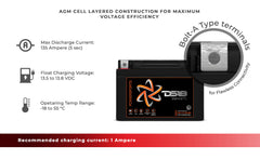 INFINITE 350 Watts 9 AH AGM Power Cell For Power Sports - DS18