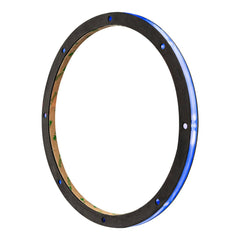 10" RGB LED Ring for Loudspeakers and Speakers - DS18