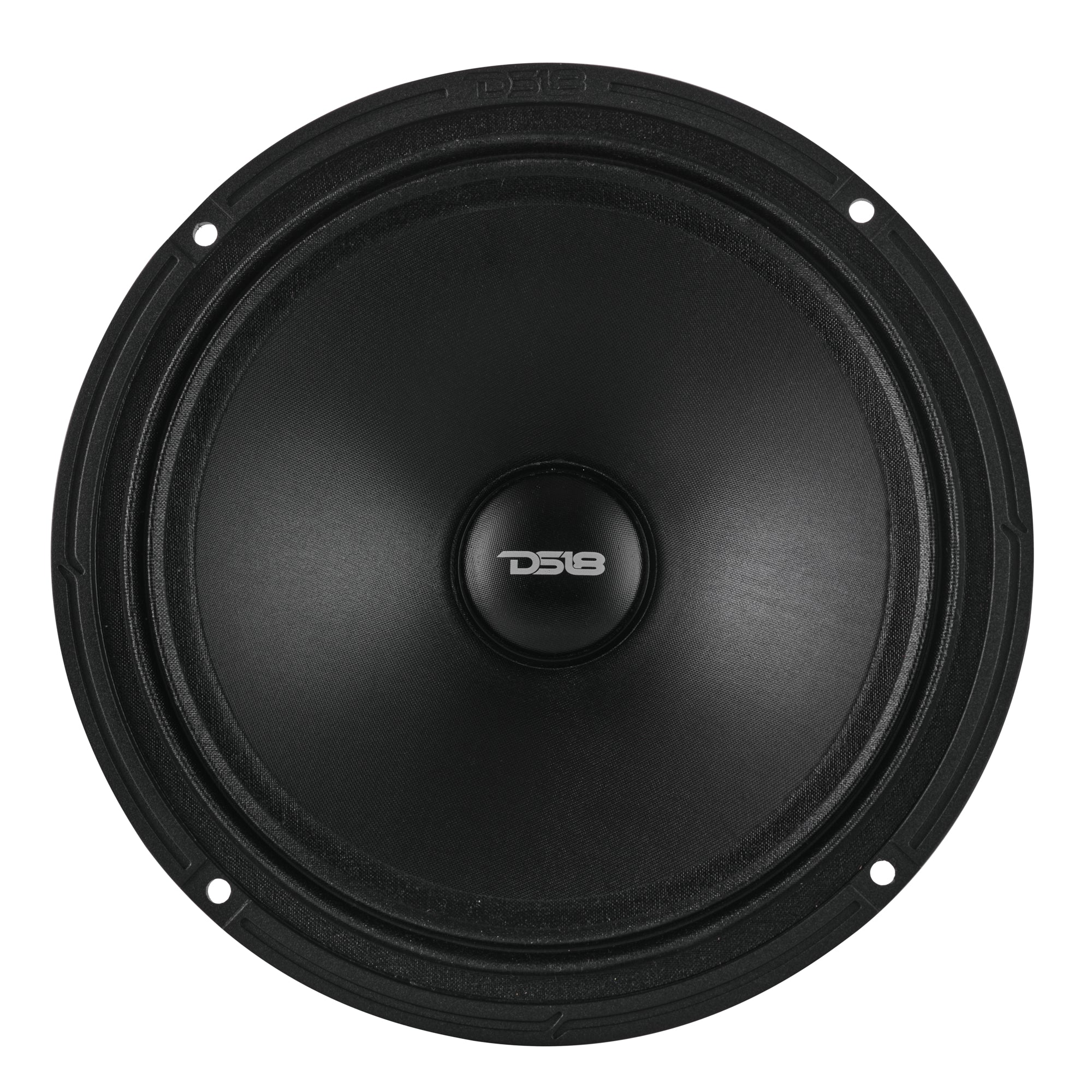 8” Full-Range Neodymium Speaker With Water-Resistant Cone | 250W RMS 4-Ohm - DS18