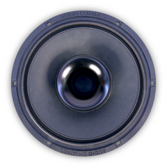 4000 Series 6.5" - 2 Ohm Pair - PCX640S2