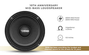 10th Anniversary Edition 6.5" Mid-Bass Loudspeaker 250 Watts Rms 4-Ohm - DS18