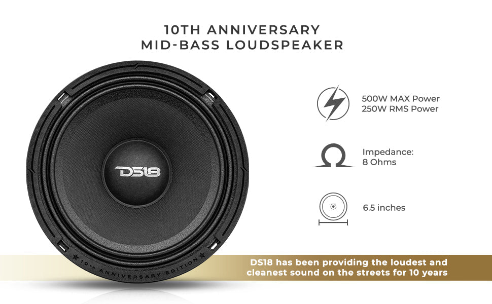 10th Anniversary Edition 6.5" Mid-Bass Loudspeaker 250 Watts Rms 8-Ohm - DS18