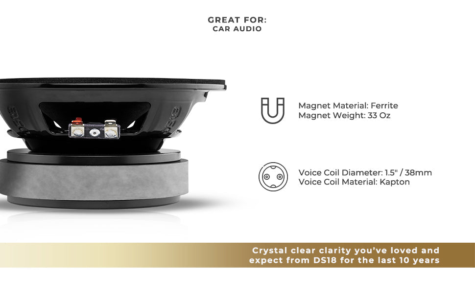 10th Anniversary Edition 6.5" Mid-Bass Loudspeaker 250 Watts Rms 8-Ohm - DS18