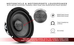 PRO 6.5" Neodymium Carbon Fiber Water resistant Cone Mid-Bass Loudspeaker 250 Watts Rms 2-Ohm - DS18