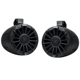 NPT1-116BBG UTV Tuned Speaker System