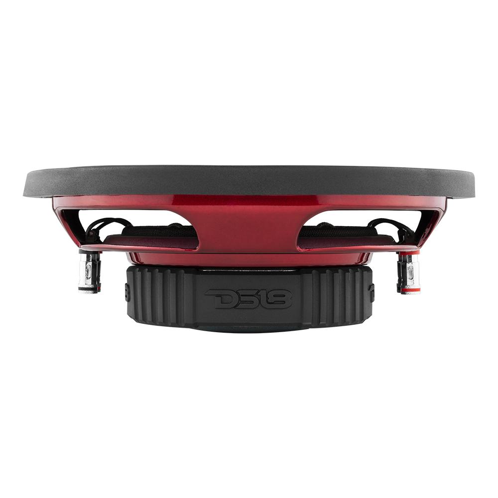 SRW Shallow-Mount 10" Subwoofer 200 Watts Rms DVC 4-Ohm - DS18