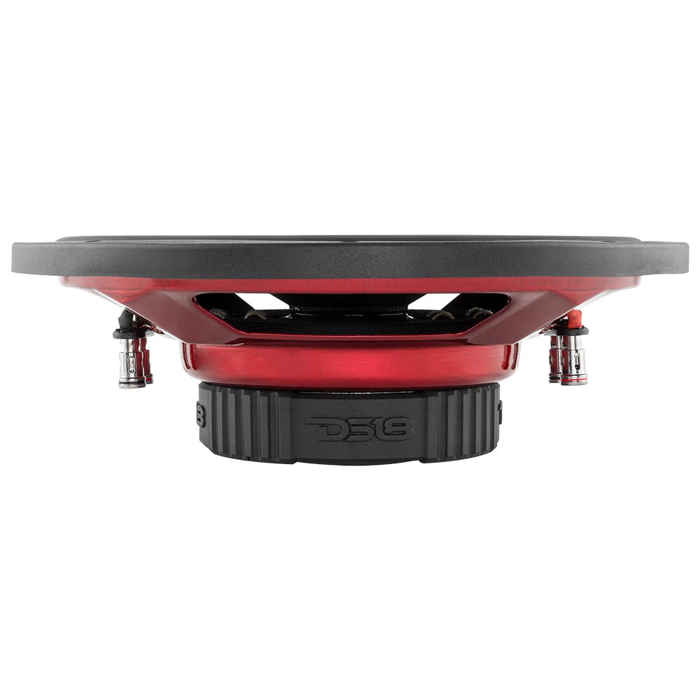 SRW Shallow-Mount 12" Subwoofer 220 Watts Rms DVC 4-Ohm - DS18