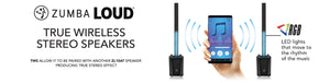 DS18 ZL-10AT exclusive ZUMBA LOUD Powered All In One Line Array 10" Tower Speaker System with MP3 USB & TWS BT 1000 Watts