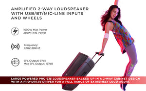 ZUMBA LOUD 15" High-Powered Amplified Professional Speaker System With Bluetooth and TWS 1000 Watts - DS18