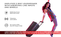 ZUMBA LOUD 15" High-Powered Amplified Professional Speaker System With Bluetooth and TWS 1000 Watts - DS18
