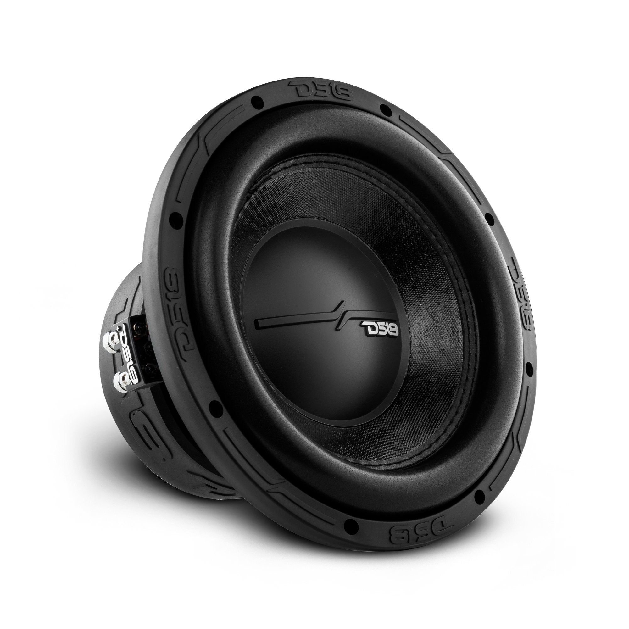 ZR 10" Subwoofer 700 Watts Rms DVC 2-Ohm - DS18