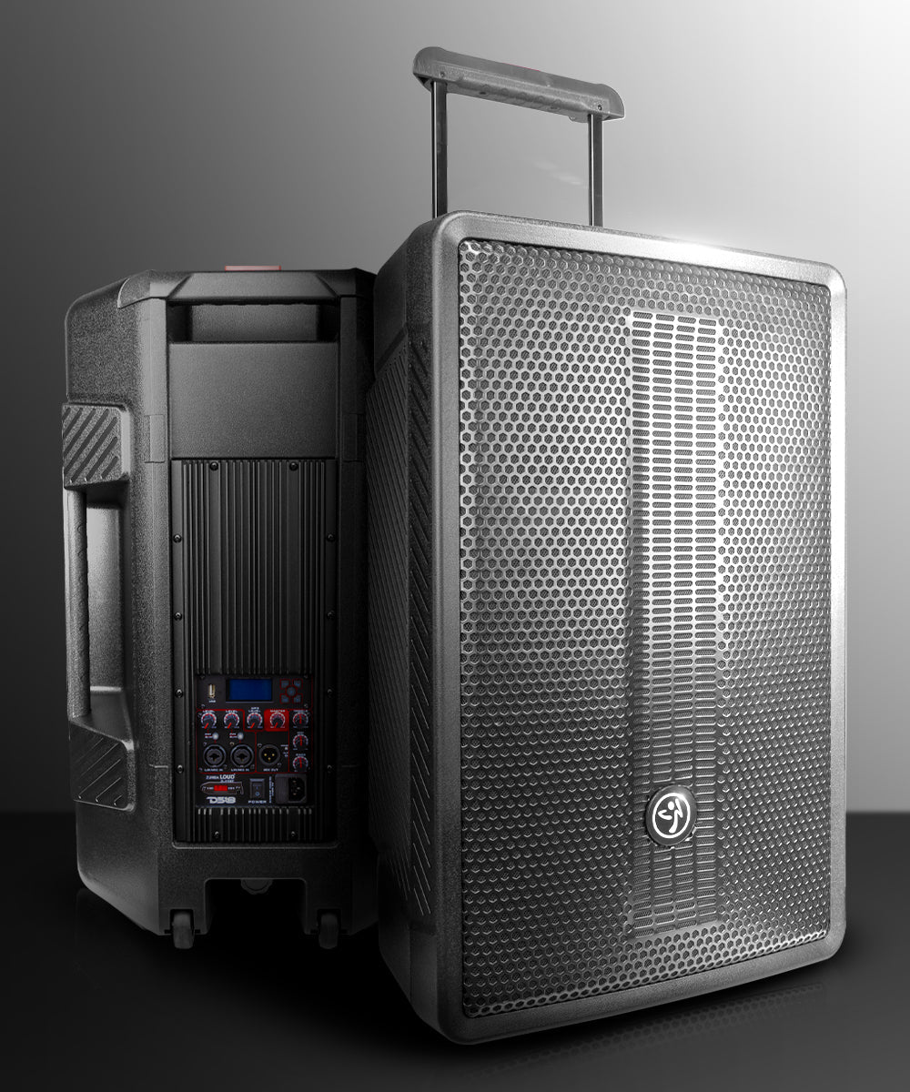 ZUMBA LOUD 15" High-Powered Amplified Professional Speaker System With Bluetooth and TWS 1000 Watts - DS18
