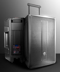 ZUMBA LOUD 15" High-Powered Amplified Professional Speaker System With Bluetooth and TWS 1000 Watts - DS18