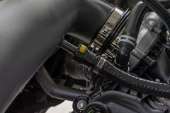 Cold Air Intake Kit | 5.0L | Ford F-150 2WD/4WD (2021-2026)