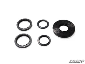 Polaris Ring and Pinion Gear Set with Seal kit