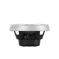 M2 10" DVC 2Ω Color OptixTM Infinite Baffle Marine Subwoofer