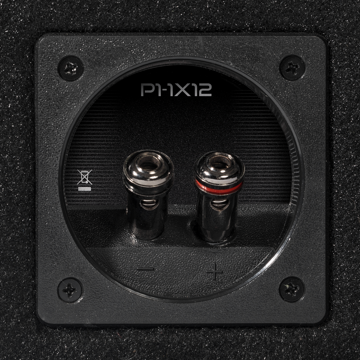 P2-1X12 - Punch Single P2 12" Loaded Enclosure - image 2