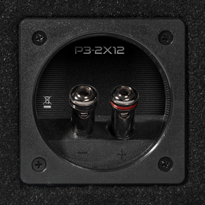 P3-2X12 - Punch Dual P3 12" Loaded Enclosure - image 3