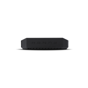 P300X1 - Punch 300 Watt Full-Range Mono Amplifier - image 4