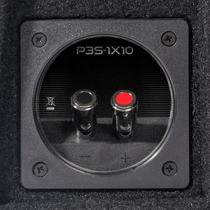 P3S-1X10 - Punch Single P3S 10" Shallow Loaded Enclosure - image 6