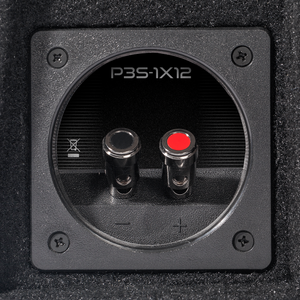 P3S-1X12 - Punch Single P3S 12" Shallow Loaded Enclosure - image 1