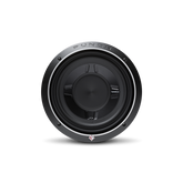 Punch 10" P3S Shallow 2-Ohm DVC Subwoofer