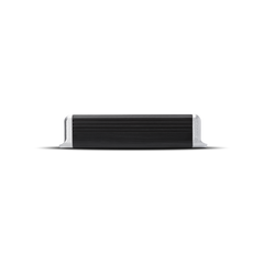Punch 300 Watt Mono Amplifier