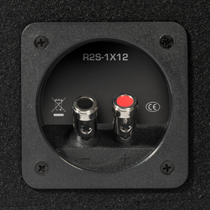 R2S-1X12 - Prime 12" R2S Shallow Loaded Enclosure - image 2