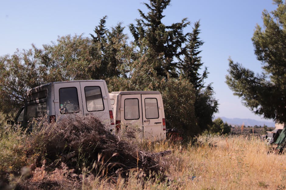 The Ultimate Guide to Choosing Side by Side Mirrors for Your Offroad Adventure in Fort Worth