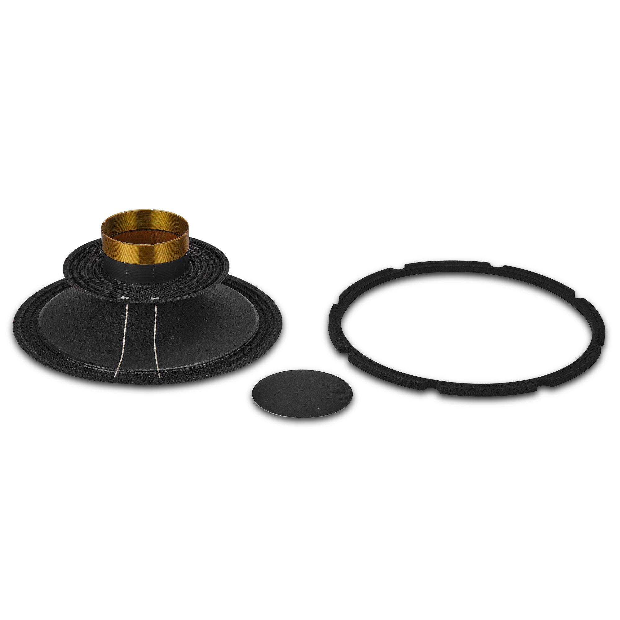 Recone Kit for 10PRO1200MB-8 Mid-Bass - DS18
