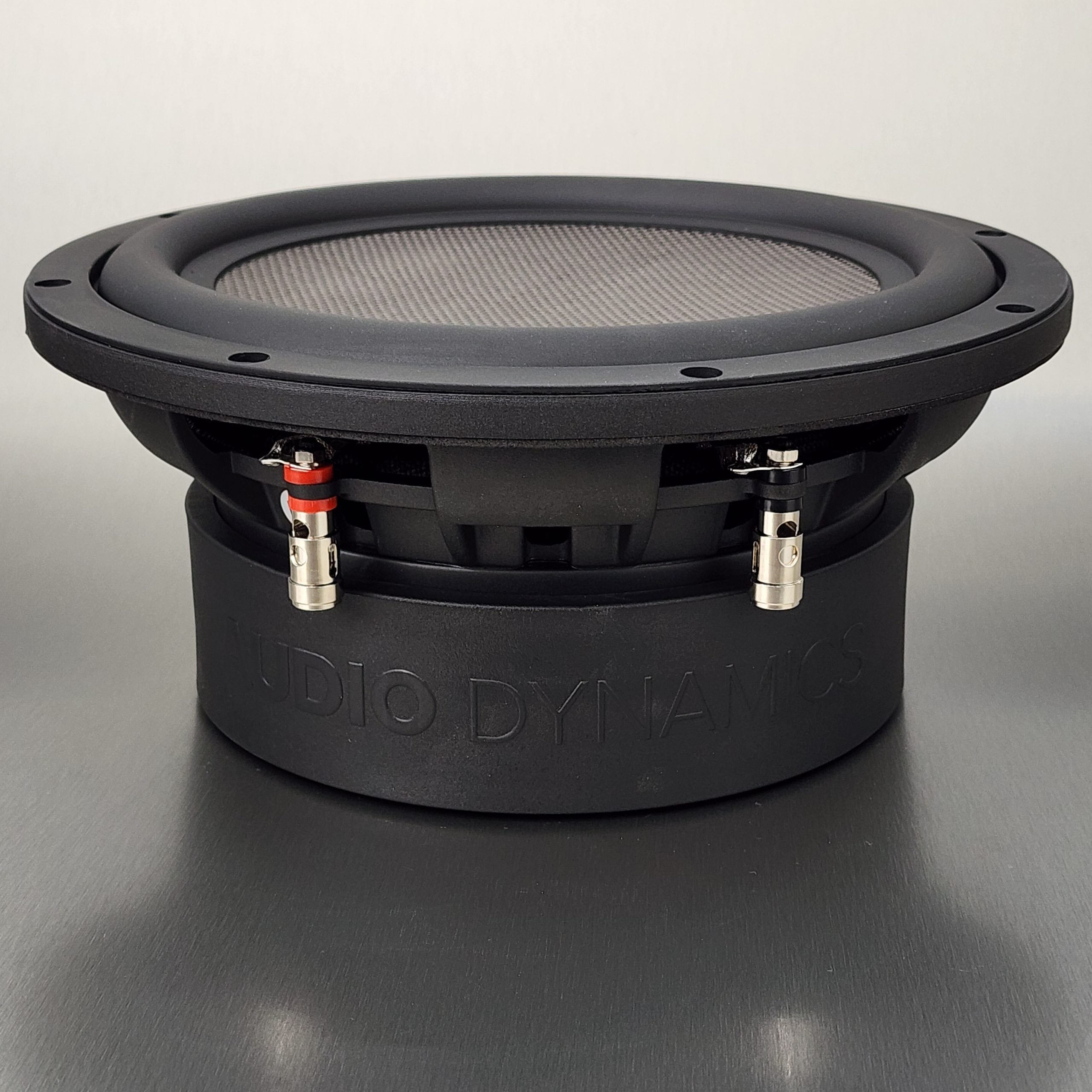 M10 - Master Series 10" Subwoofer