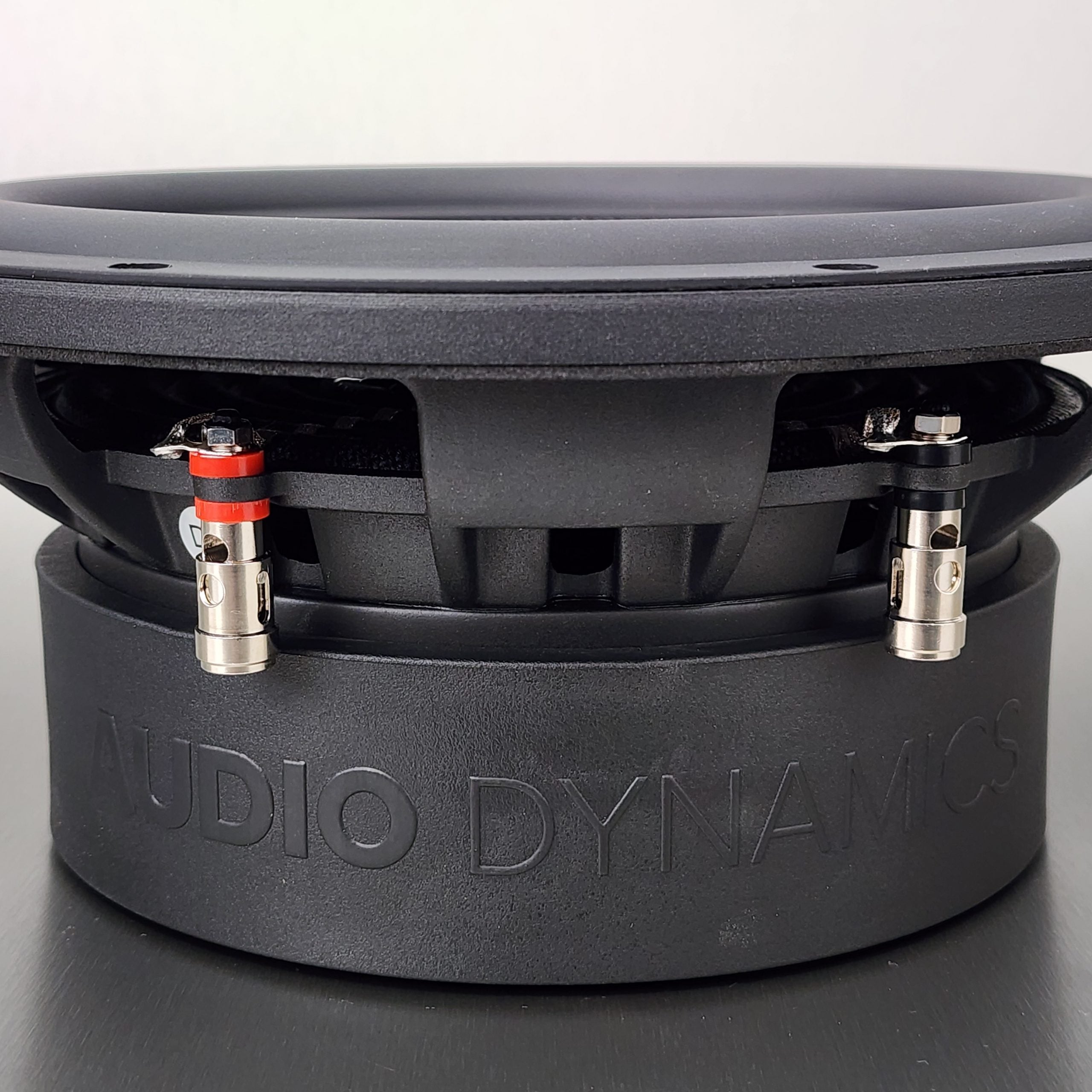 M10 - Master Series 10" Subwoofer