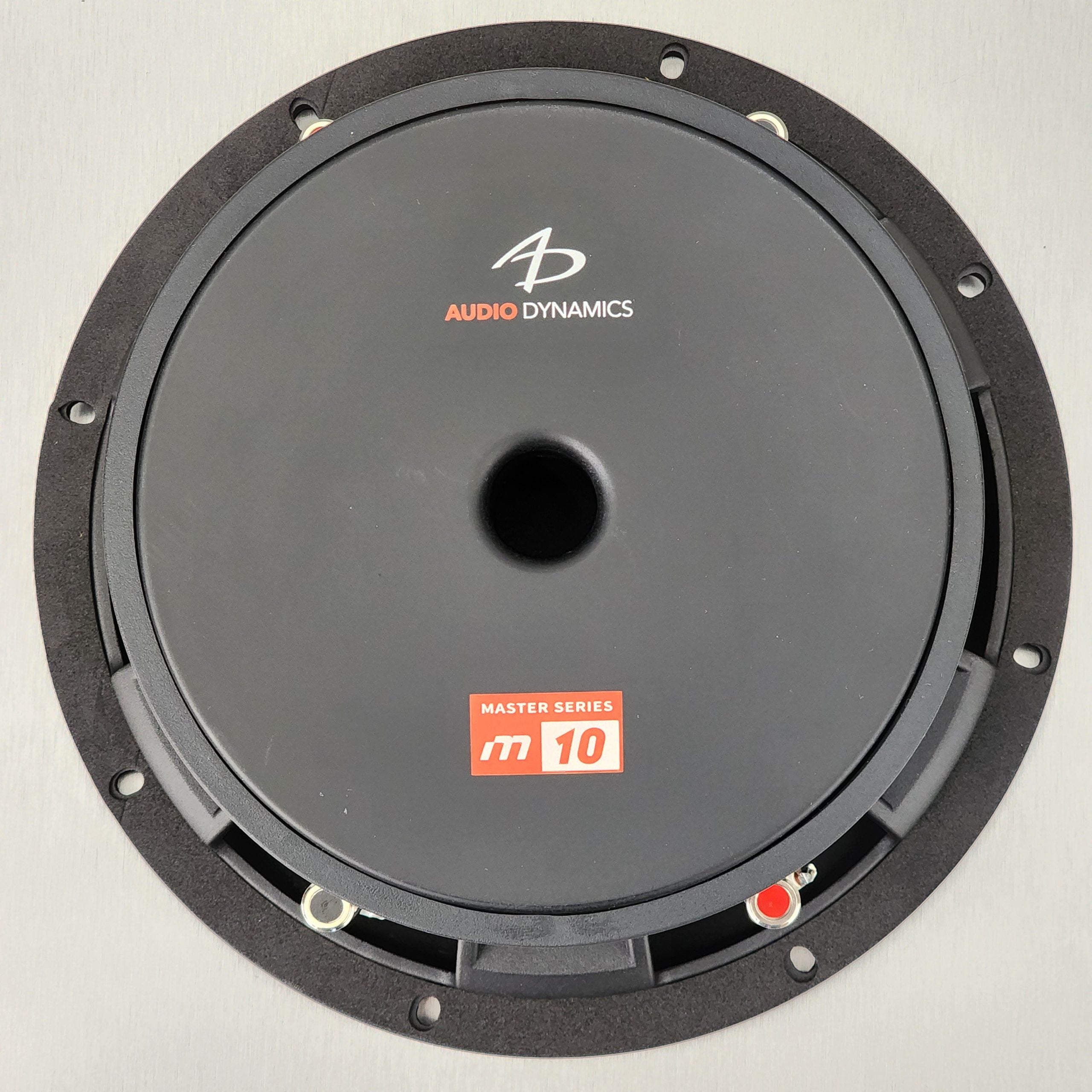 M10 - Master Series 10" Subwoofer