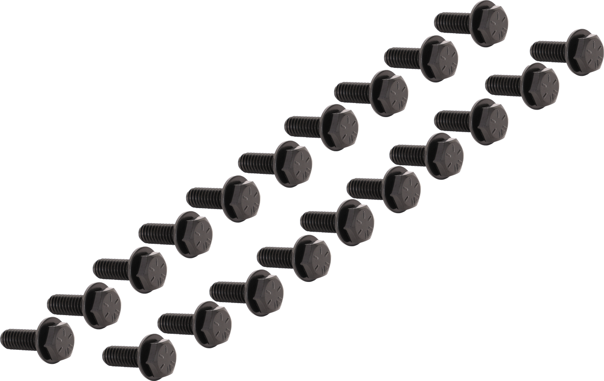 BEADLOCK 5/16" BOLT (20 PCS) GLOSS BLACK