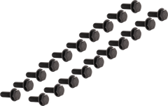 BEADLOCK 5/16" BOLT (20 PCS) GLOSS BLACK