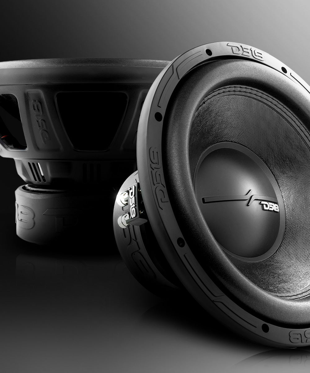 ZR 12" Subwoofer 750 Watts Rms DVC 4-Ohm - DS18