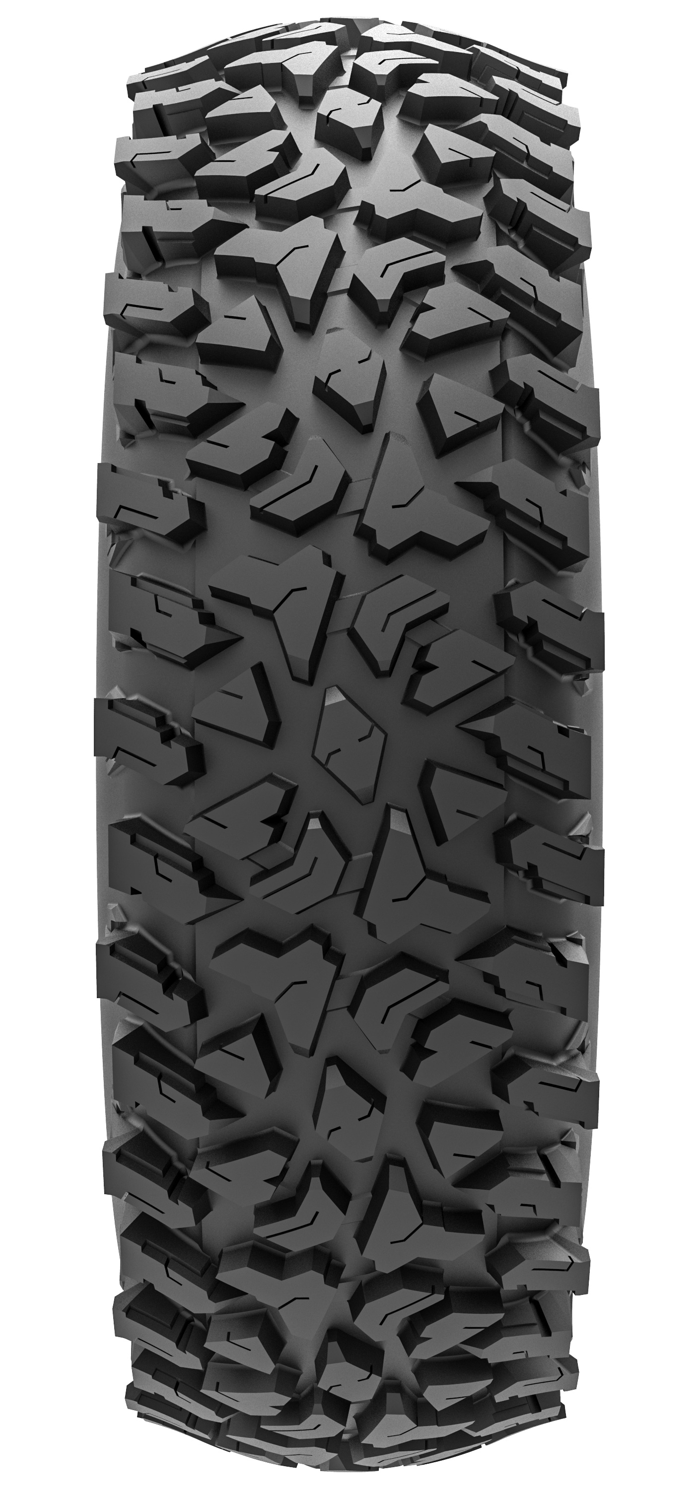 Maxxis Rampage Fury Tires