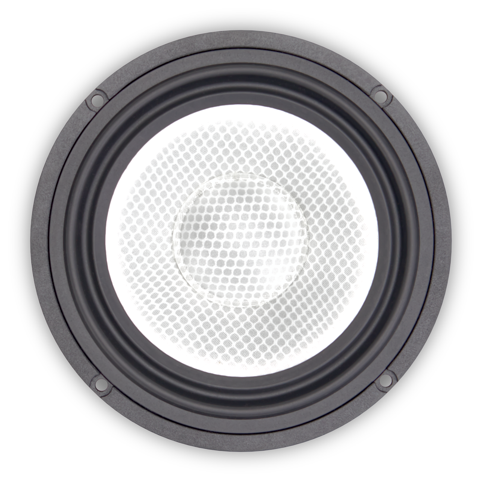 5000 Series 6.5" Mid Woofer - MW653