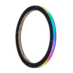8" Digital LED Ring for Loudspeakers and Speakers - DS18