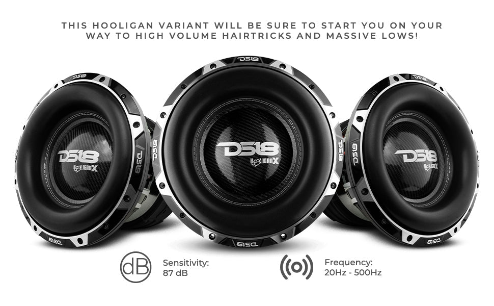 HOOLIGAN X 12" High Excursion Subwoofer 4000 Watts Rms 4" DVC 2-Ohm - DS18
