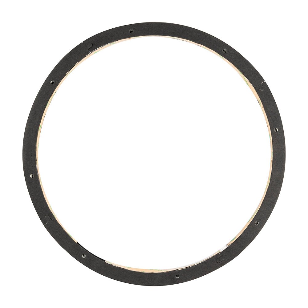 12" RGB LED Ring for Loudspeakers, Speakers and Subwoofers. - DS18